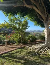 Primary Photo for MLS#: 250045196