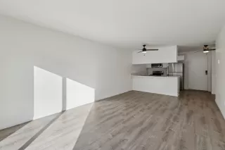 Photo #1: 250045204 Listing