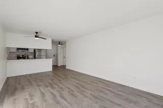 Photo #3: 250045204 Listing