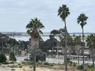 Photo #2: 250045313 Listing