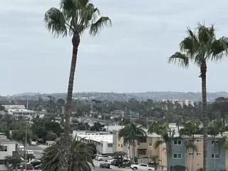 Photo #4: 250045313 Listing