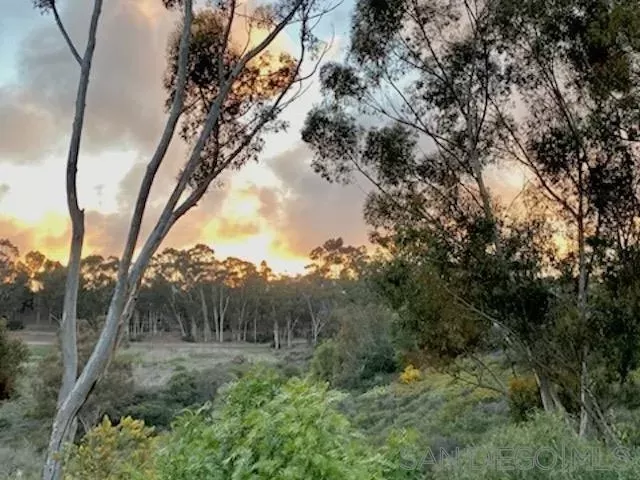 MLS: 250045314 Condo For Sale