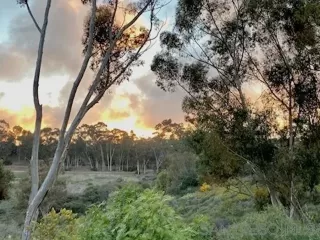 Photo #3: 250045314 Listing 