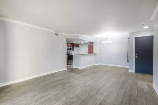 Photo #6: 250045329 Listing 