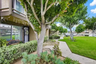 Photo #3: 250045427 Listing 