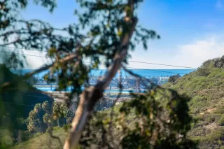 Photo #3: 250045483 Listing