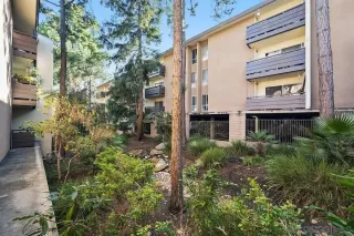 Photo #4: 250045701 Listing