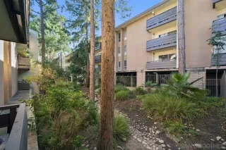 Photo #5: 250045701 Listing