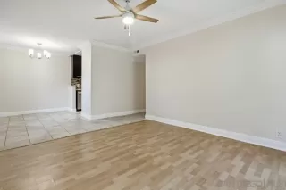 Photo #5: 250045799 Listing 