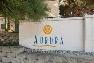 Photo #1: 250045851 Listing 