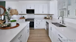 Photo #1: 250045996 Listing 