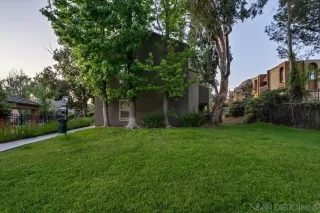 Photo #1: 250046076 Listing 