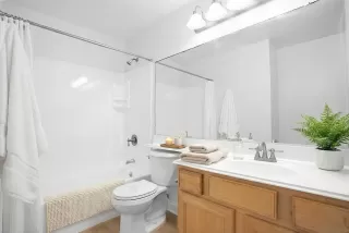 Photo #4: 250046319 Listing