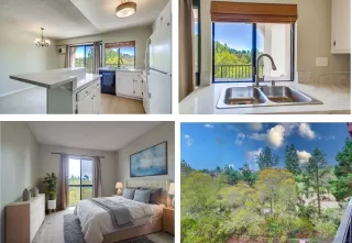 Photo #1: 250046399 Listing 