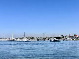 Photo #5: 260001348 Listing 