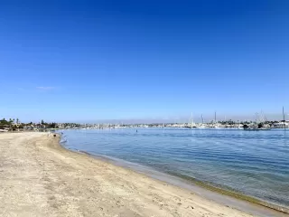 Photo #6: 260001348 Listing 