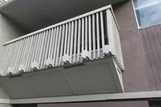 Photo #2: 260001390 Listing 