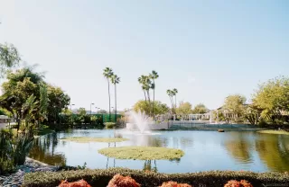 Photo #1: 260001419 Listing 