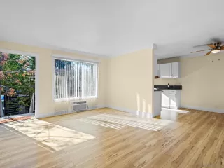 Photo #1: 260001421 Listing 