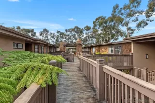 Photo #1: 260001663 Listing 