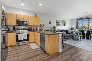 Photo #1: 260001721 Listing 