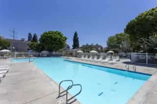 Photo #6: 260001754 Listing 