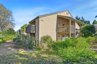 Photo #1: 260001922 Listing 