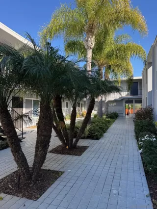 Photo #1: 260001958 Listing