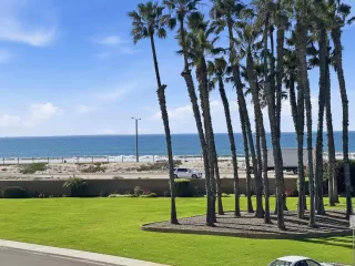 Photo #2: 260002224 Listing 