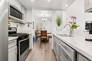 Photo #1: 260002245 Listing 