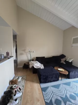 Photo #6: 260002267 Listing