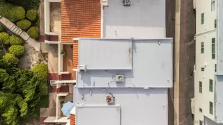 Photo #1: 260002420 Listing 