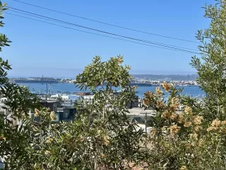 Photo #3: 260002508 Listing 