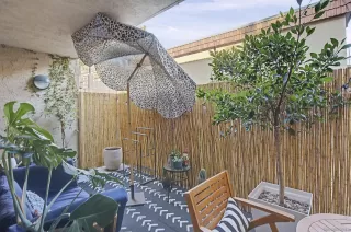 Photo #5: 260002582 Listing 