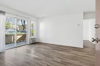 Photo #2: 260002633 Listing 