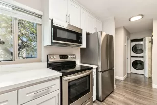 Photo #5: 260002779 Listing 