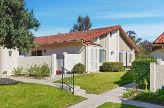 Photo #1: 260002818 Listing 