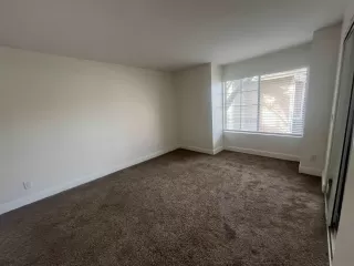 Photo #1: 260002882 Listing 