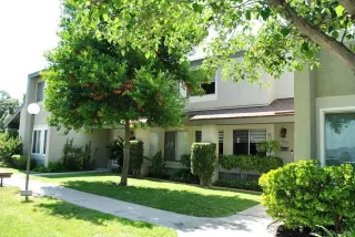 More Details about MLS # 260002920 : 5059 LA CUENTA DR