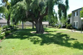 Photo #2: 260002920 Listing 