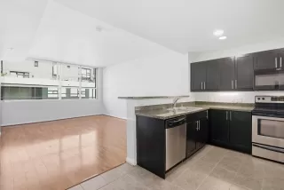 Photo #1: 260003008 Listing 