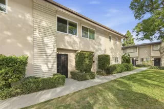 Photo #1: 260003013 Listing 