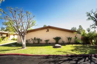 Photo #4: 260003033 Listing 