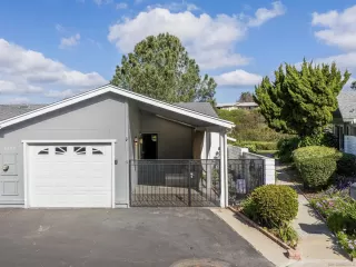 Photo #1: 260003061 Listing 