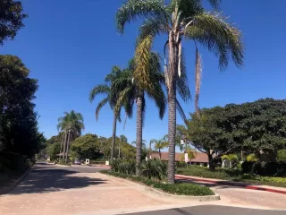 More Details about MLS # 260003096 : 6645 CAMINITO SCIOTO