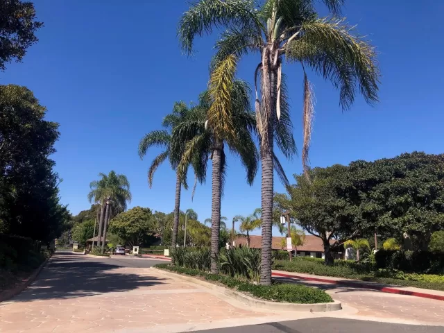 MLS: 260003096 Condo For Sale