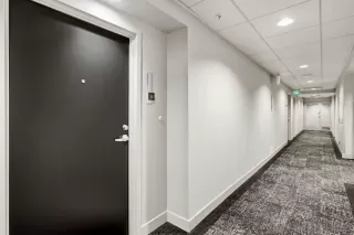 Photo #3: 260003151 Listing 