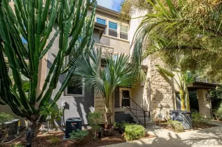 Primary Photo for MLS#: 260003159