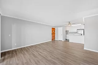 Photo #3: 260003181 Listing 