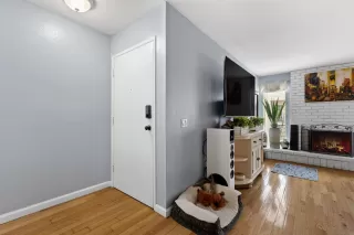 Photo #1: 260003240 Listing